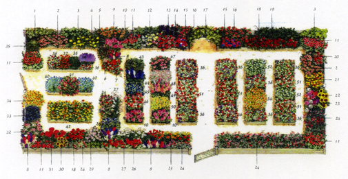 Thaxters plan i färg044