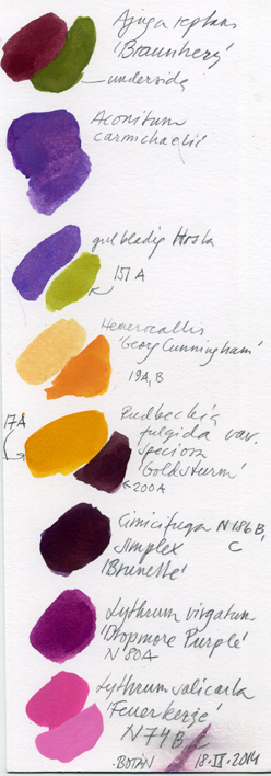 Botaniska färgreg. 2014057