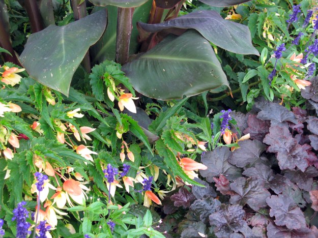 Ljushetskontr. Tf. 1