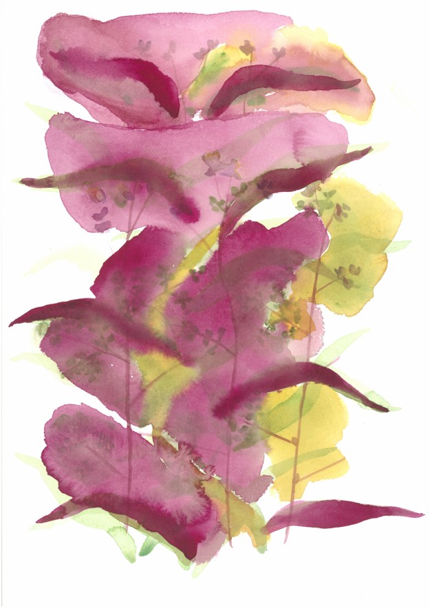 Omslag. Thalictrum m fl